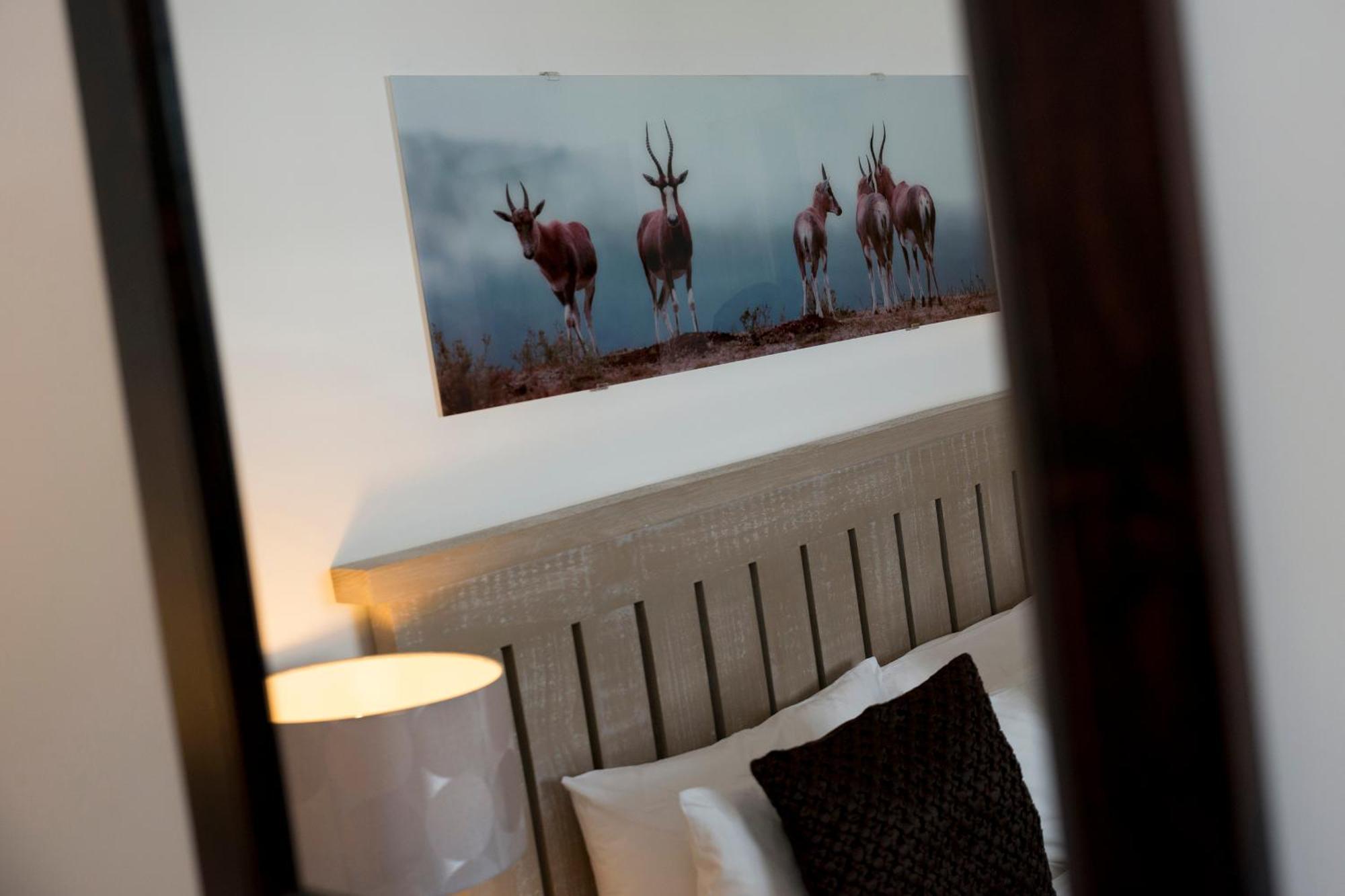קניסנה Candlewood Lodge מראה חיצוני תמונה
